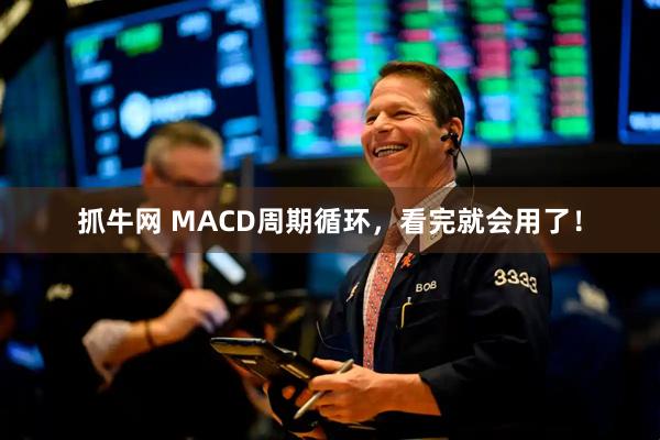 抓牛网 MACD周期循环，看完就会用了！