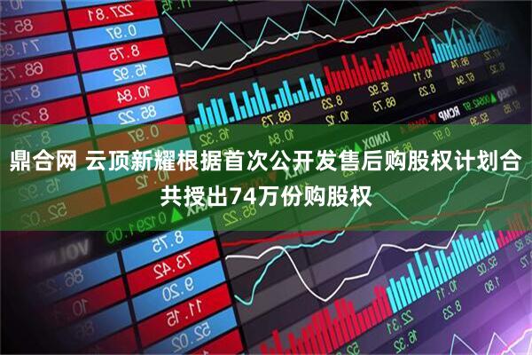 鼎合网 云顶新耀根据首次公开发售后购股权计划合共授出74万份购股权
