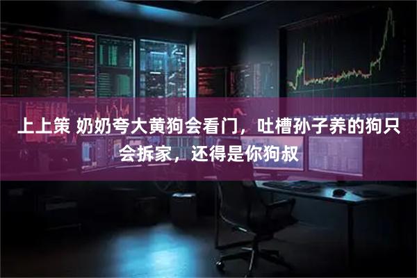 上上策 奶奶夸大黄狗会看门,吐槽孙子养的狗只会拆家,还得是你狗叔